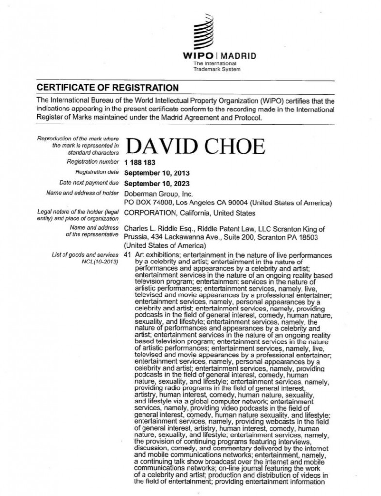WIPO Application Granted for DAVID CHOE. Riddle Patent Law,Scranton, PA, King of Prussia, PA, Allentown, PA,  Los Angeles, CA.